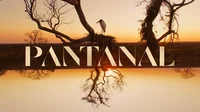 Novela Pantanal