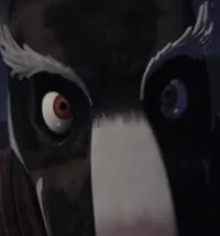 Master Splinter 2012