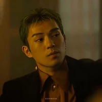 Live Action Zoro