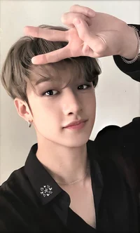 Stray kids