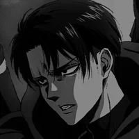Levi