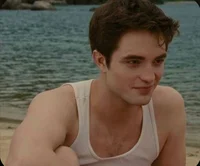 Breaking dawn part 1