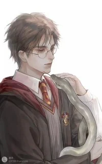 Harry Potter
