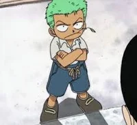 School boy Zoro 