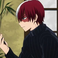 Shoto todoroki 