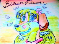 Susan Flowers 