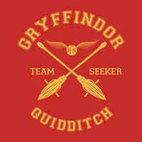 Quidditch Hogwarts