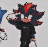 Shadow the hedgehog 