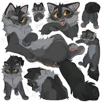 GrayStripe