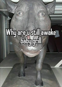 You are an adventure