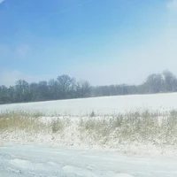 Republic of Michigan