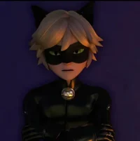 cat noir