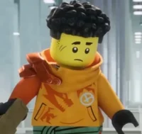 Arin Nived - NINJAGO