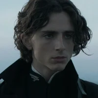 Regulus black