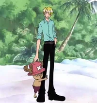 Sanji and Chopper