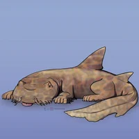 Wobbegong puppy