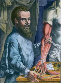 Andreas Vesalius