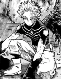 -Hawks mha