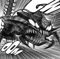 The Elder Centichoro