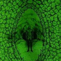 Lizard
