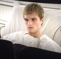 Hijacked Peeta