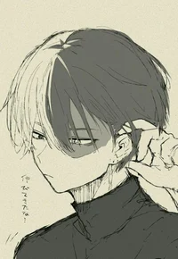 Shoto todoroki 
