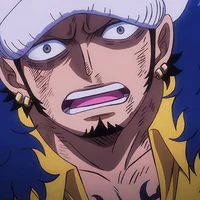 Law