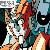 Rung