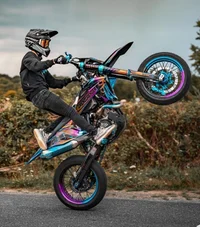 Stunt Rider
