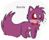 Bonnie kitten