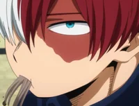 Shoto Todoroki 