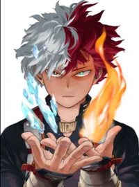 Todoroki