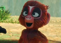 Baby monkey king 