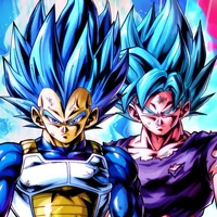 Goku and Vegeta