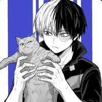 Shoto Todoroki