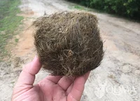 Hairball