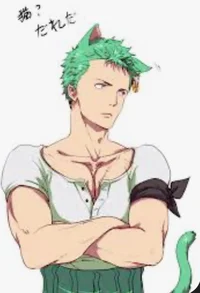Cat boy zoro