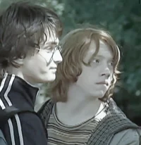 Harry and Ron