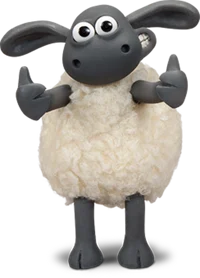 Timmy the baby sheep
