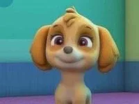 Skye without pup tag