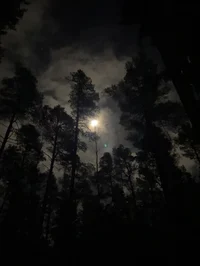 Always high