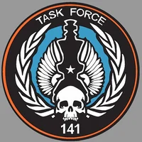 Task Force 141