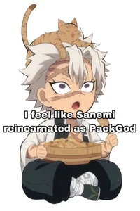 Sanemi Shinazugawa
