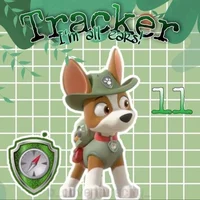 Tracker from paw pat