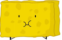 Spongy