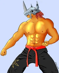Karate Wargreymon 