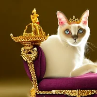King Kitty Sam