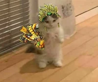 Cat DIO