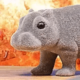 Hippo