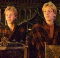 Weasley Twins 